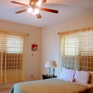 Inn Jacks Hill Tropical Arcadia, Kingston